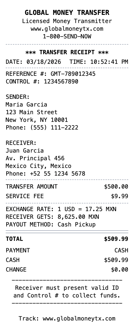 Money Transfer Receipt receipt template preview