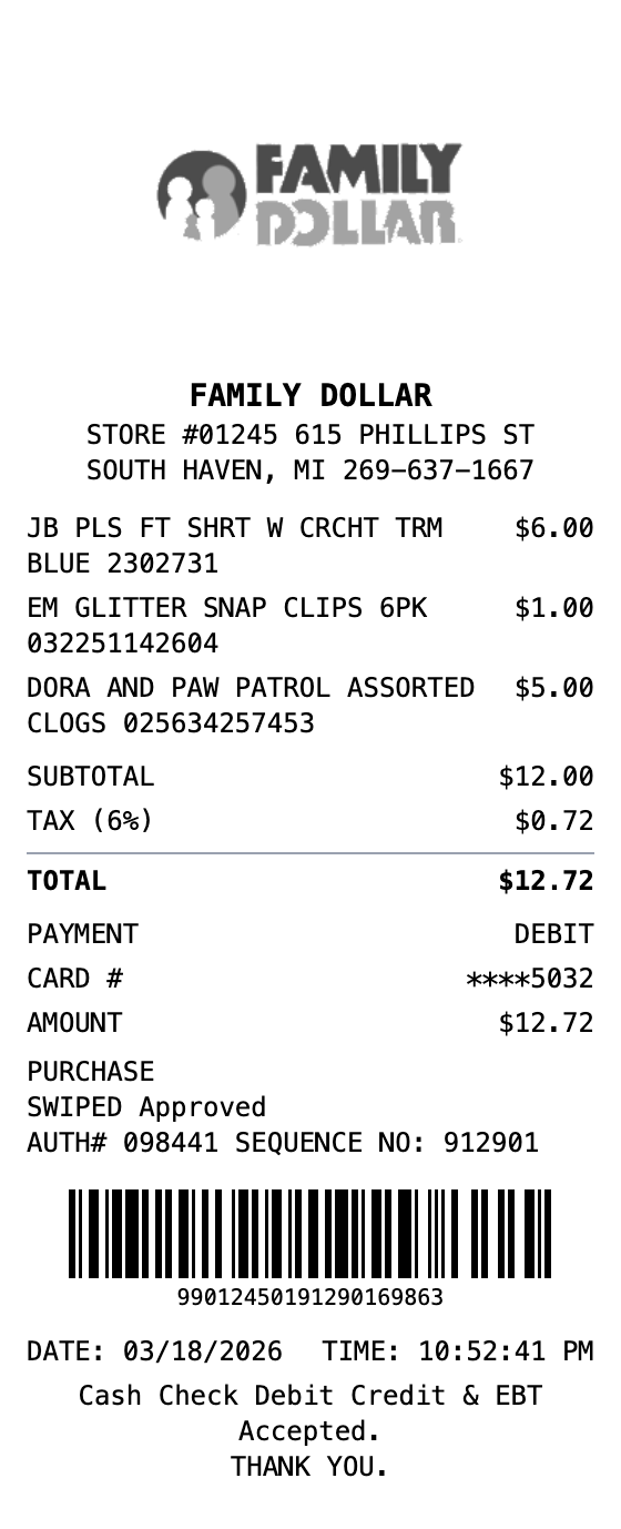 Family Dollar Receipt receipt template preview